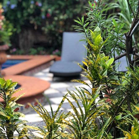 Casa Del Sol Inn 阿吉吉克 外观 照片