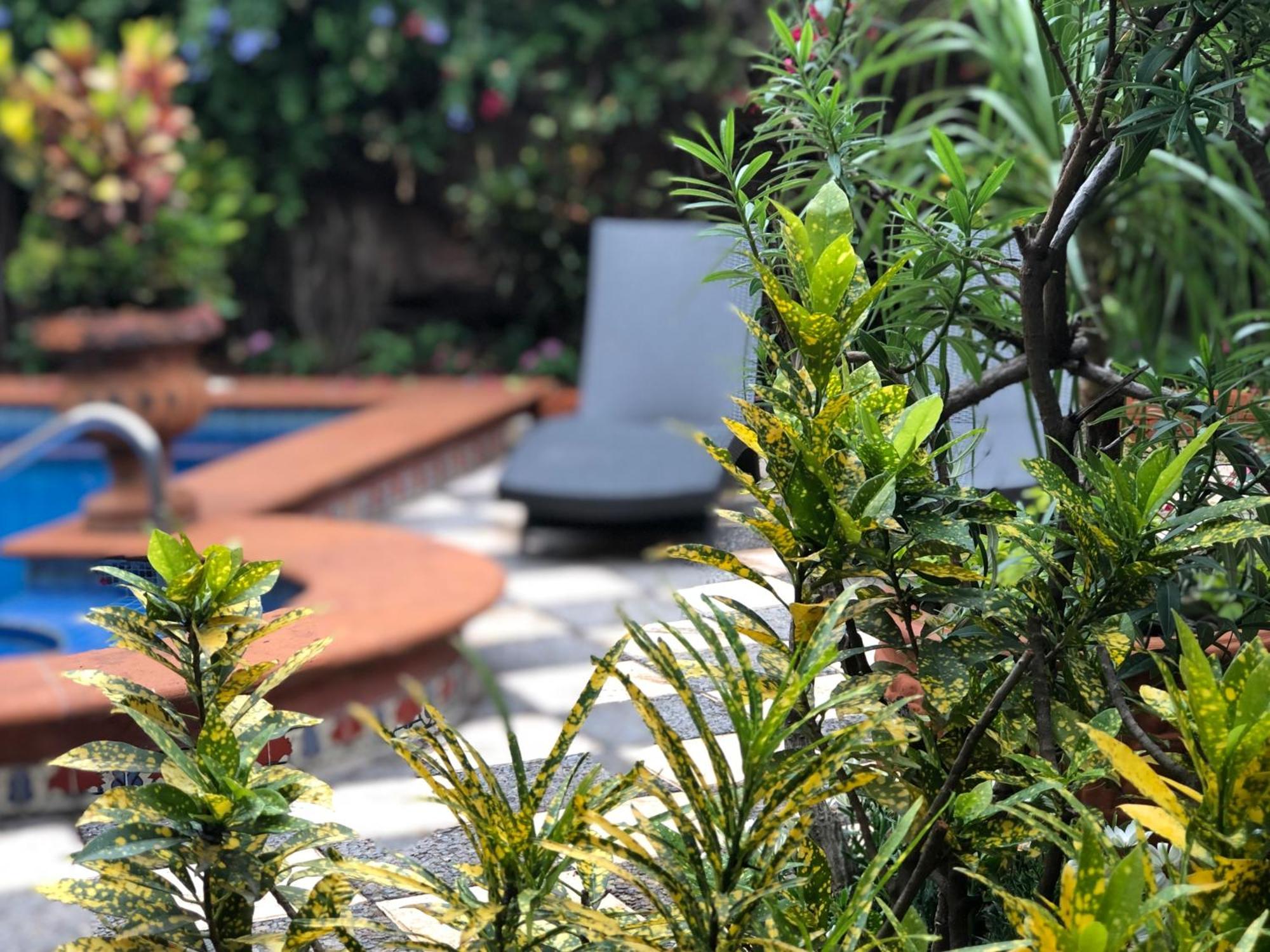 Casa Del Sol Inn 阿吉吉克 外观 照片